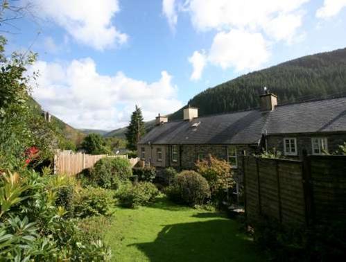 Bronwydd