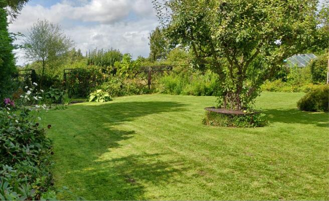 Garden at Back