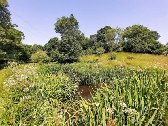 Pond
