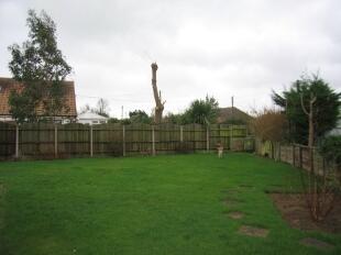 Garden 1