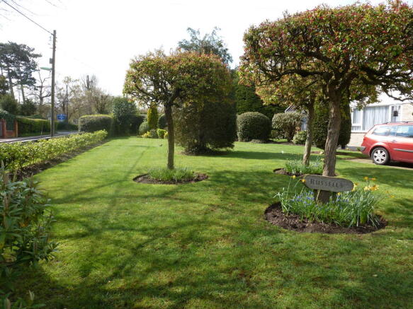 Photo 7