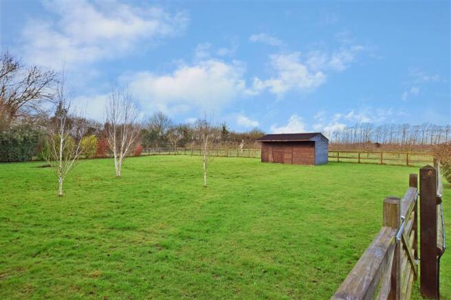 Rear Garden Paddock
