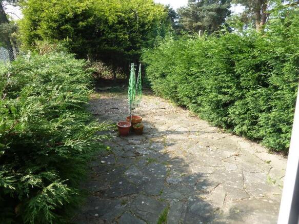 Photo 5