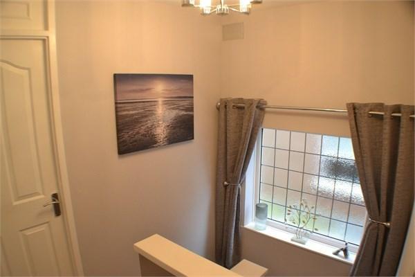 photo8