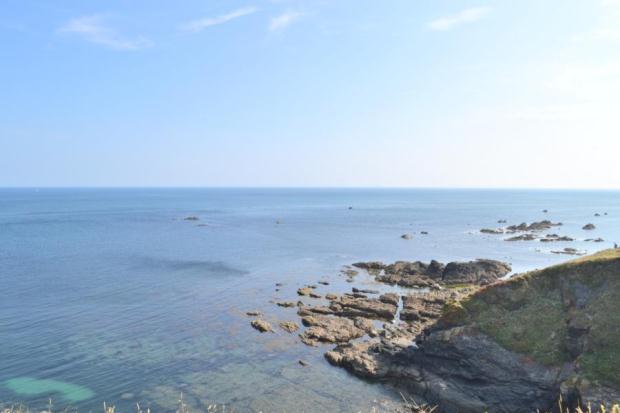 Lizard Point
