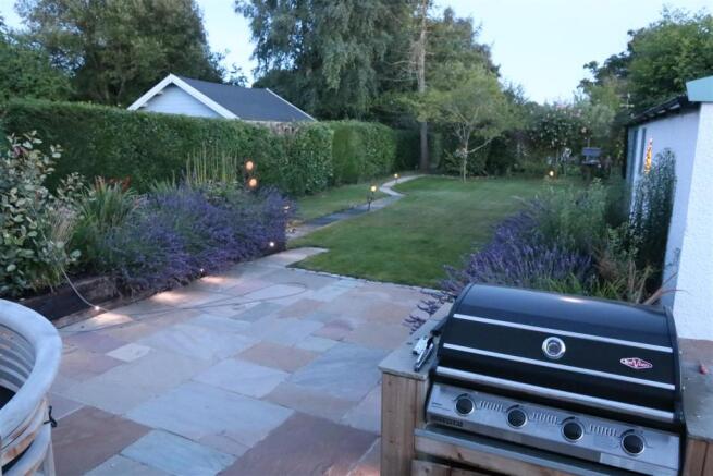 Evening Garden