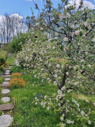 Garden3