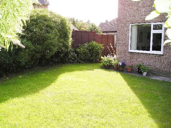 Garden 4