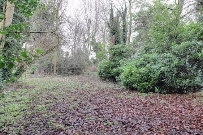 Large Woodland...