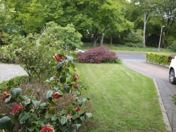 Front Garden