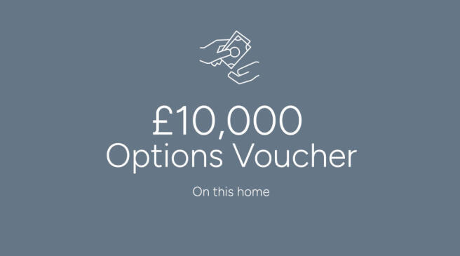 A £10,000 Options Voucher on a gray background.