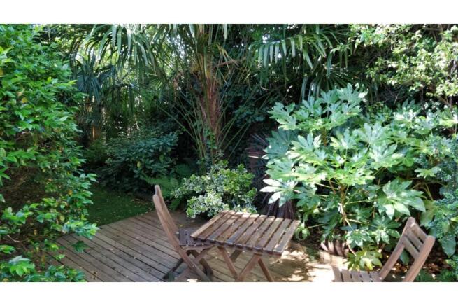 Mature Garden