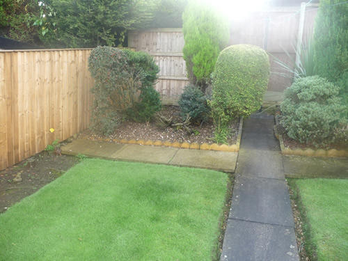 Photo 8