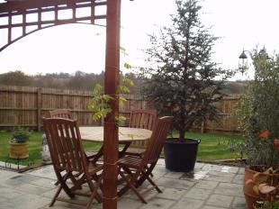 Patio area