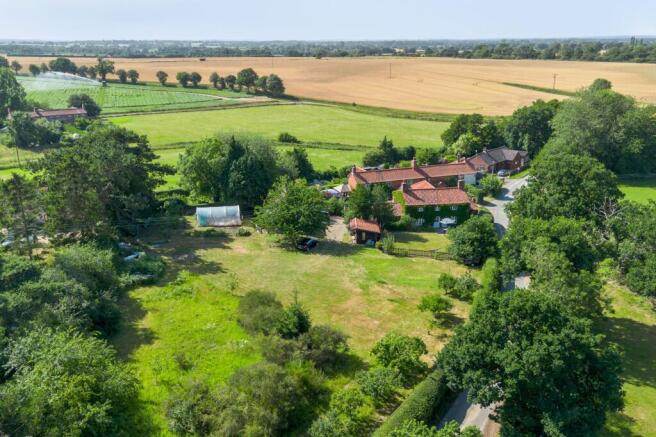 Skeyton photo 4
