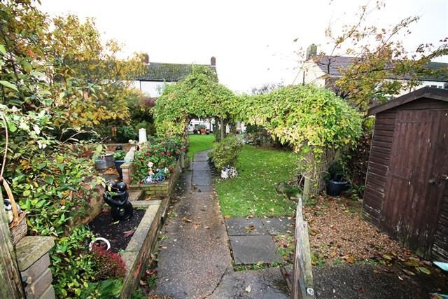 Back garden