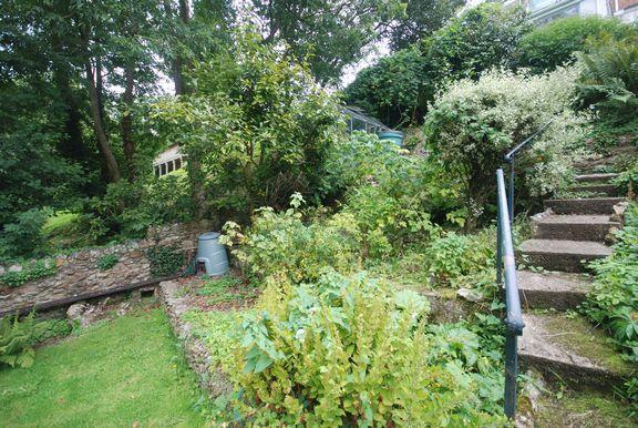 Garden 2