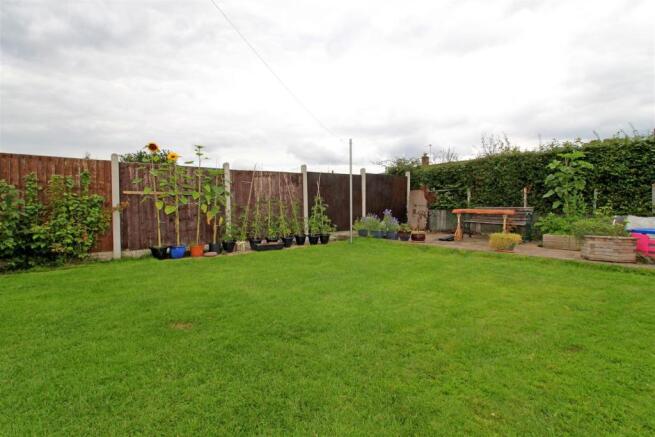 Garden.....jpg