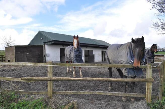 Stables, Yard and Paddock