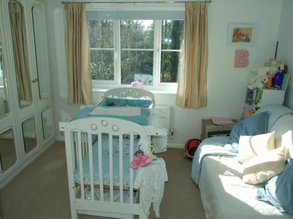 Photo 5