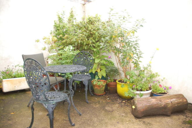 Rear Yard