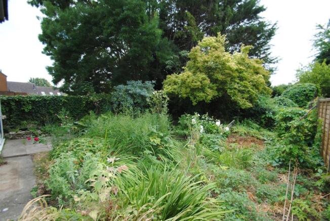 garden.JPG
