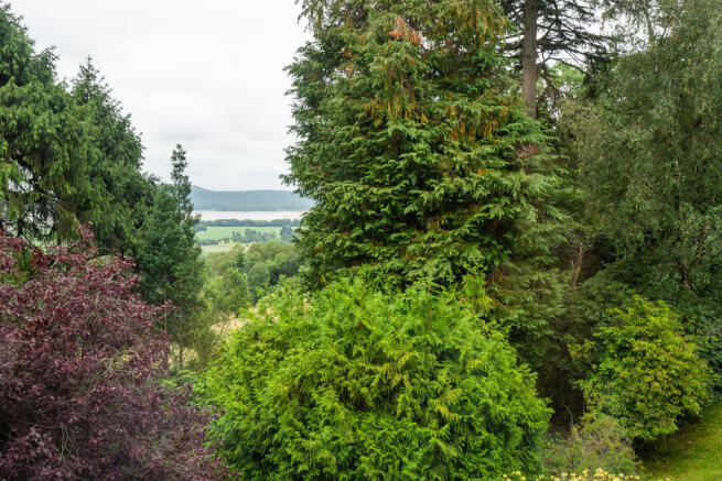 View to Front