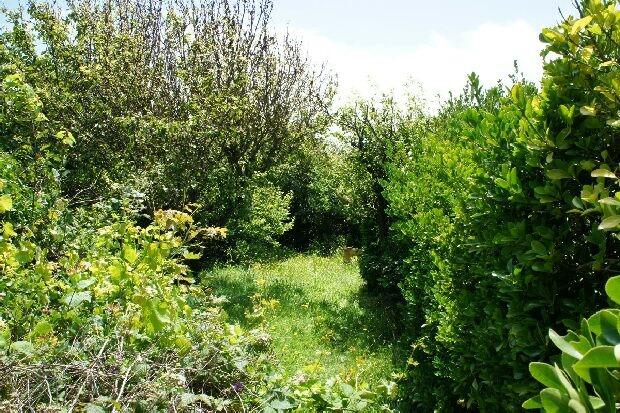 Garden..