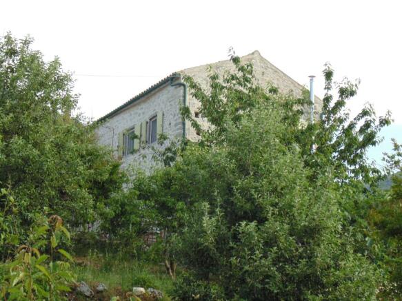 View from the garden