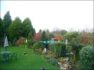 View from the patio