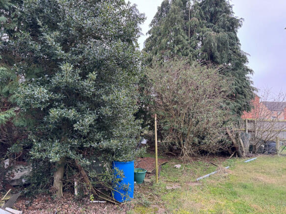 20260203 130043145 IOS  Medium -2 T202602131149.jpg