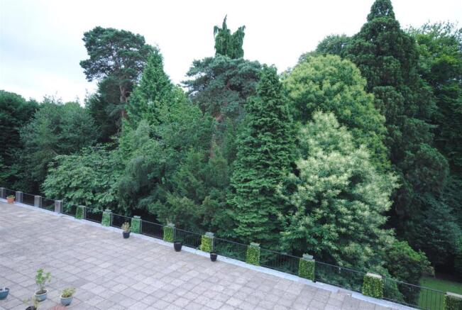 5 ST ANDREWS LIVING VIEW.JPG