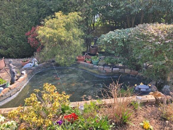 Pond