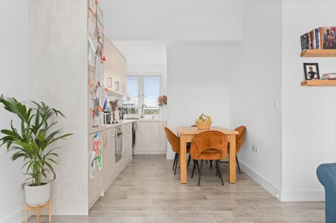 Kitchen / Living Area