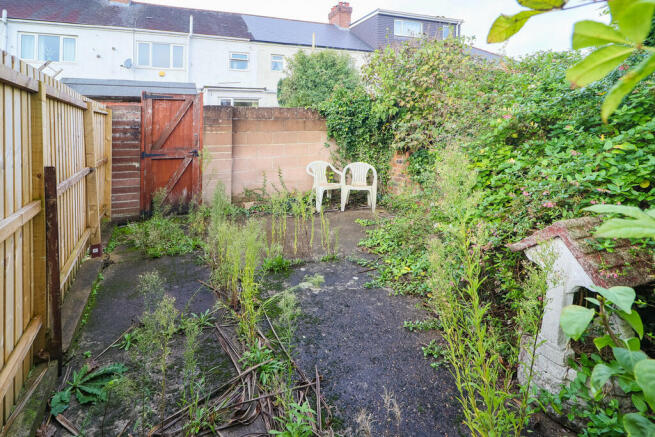 Photo 11