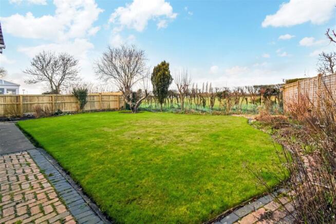 garden 2.JPG