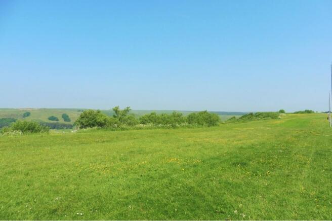 Surrounding Area