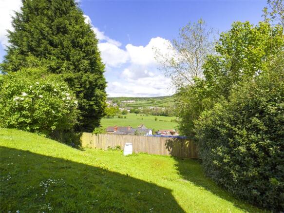 Picture 15