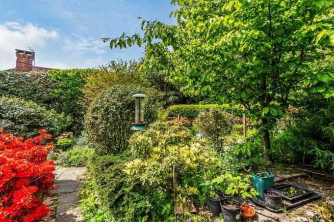 Garden 2.jpg