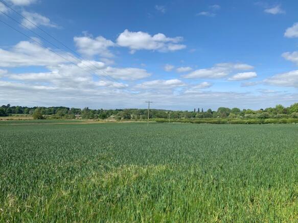 Fields_at_back_of_garden.jpg