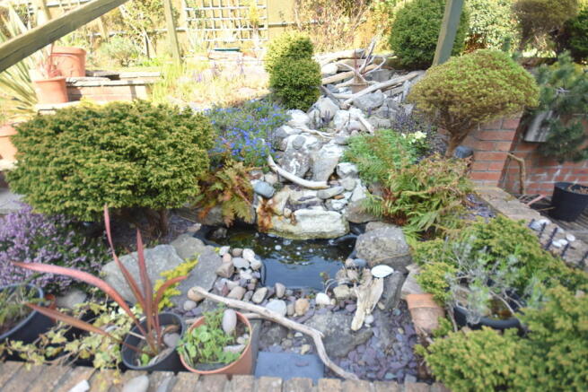 Photo 26