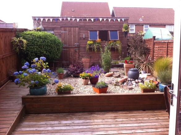 Garden in the summer