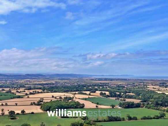 Panoramic Views