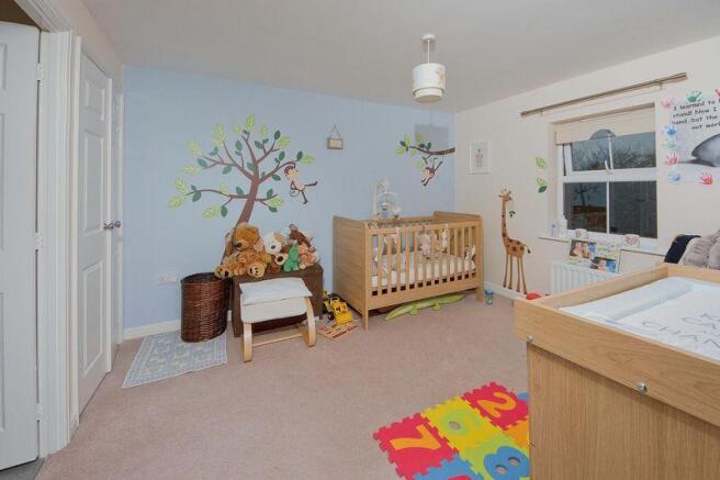 Photo 7