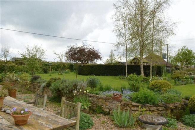 Terrace/Garden