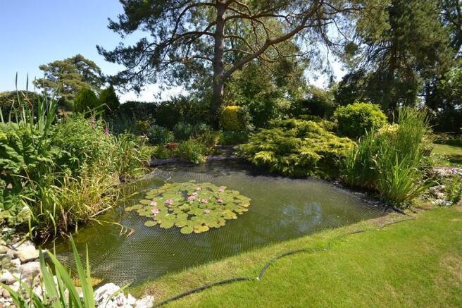Hilltop-Pond.JPG