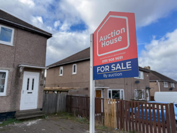 IMG 4024 T202603151713.jpg