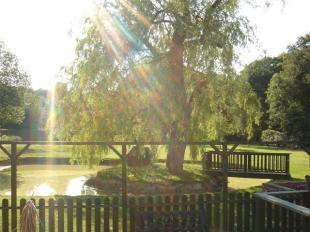 Rear Gardens