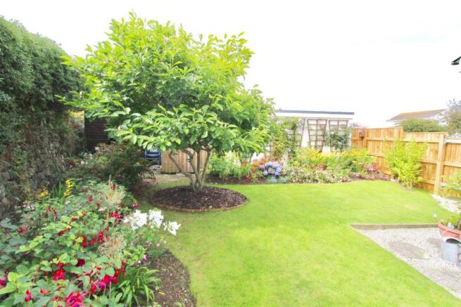 Garden 3.JPG