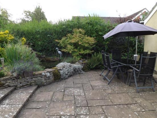 Picture No.21